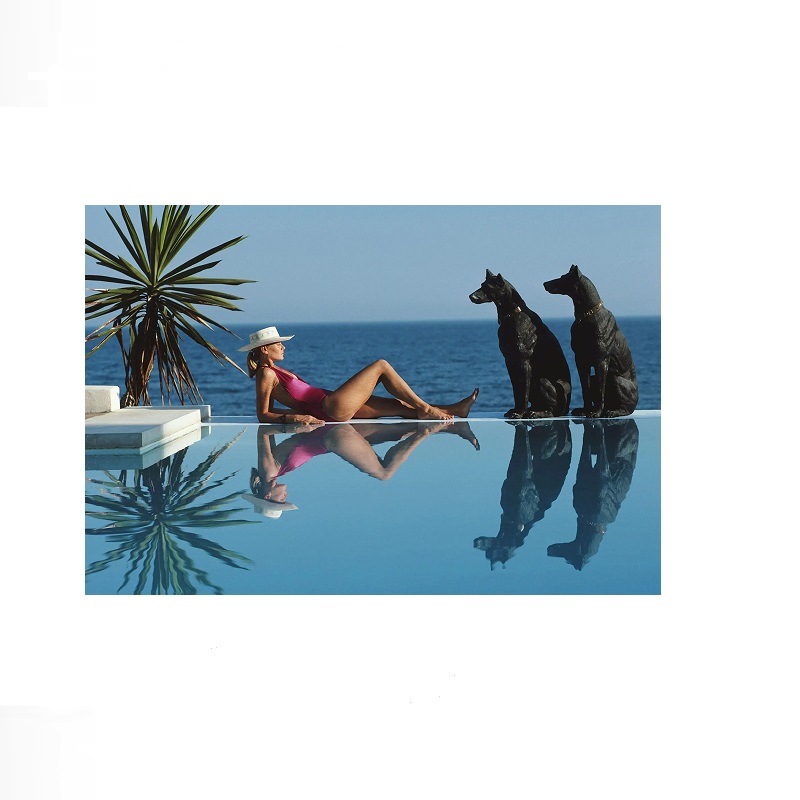 Retro Poolside Host Luxury Lif – Luxury Lifestyle Picture Bewertung und Preis